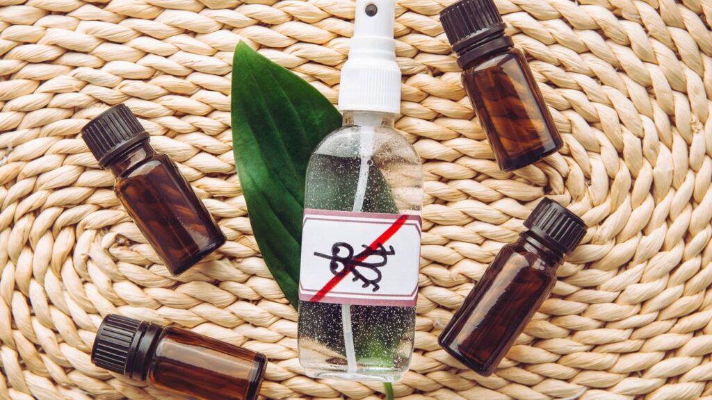 Como acabar com moscas, pernilongos, formigas e baratas com uma receita caseira super forte