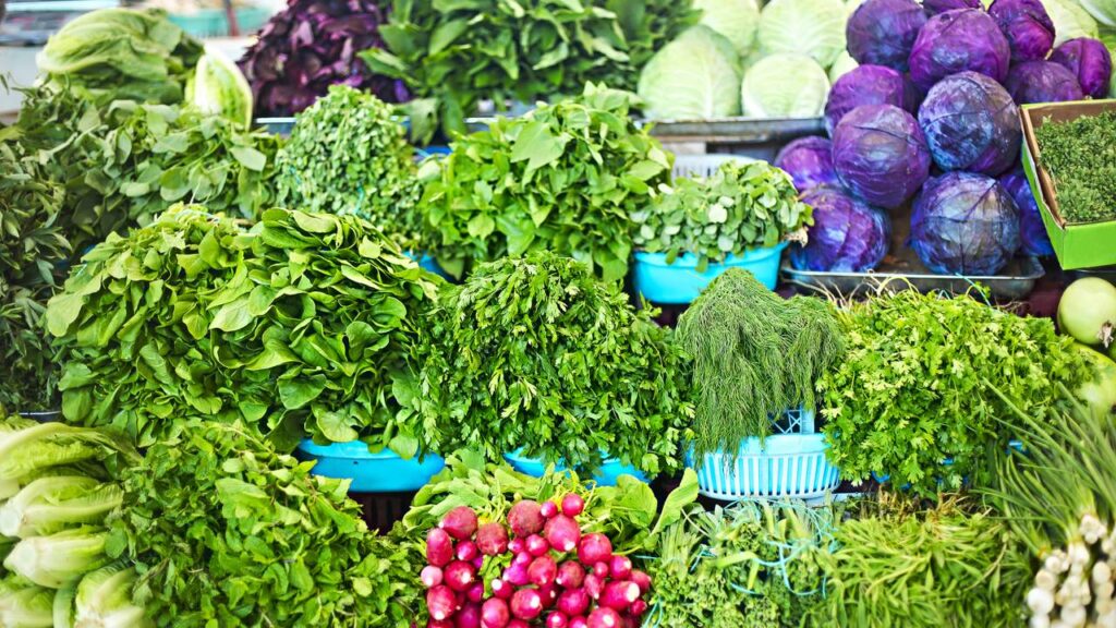 Plantar salsinha do mercado é possível e dá mais certo do que você imagina