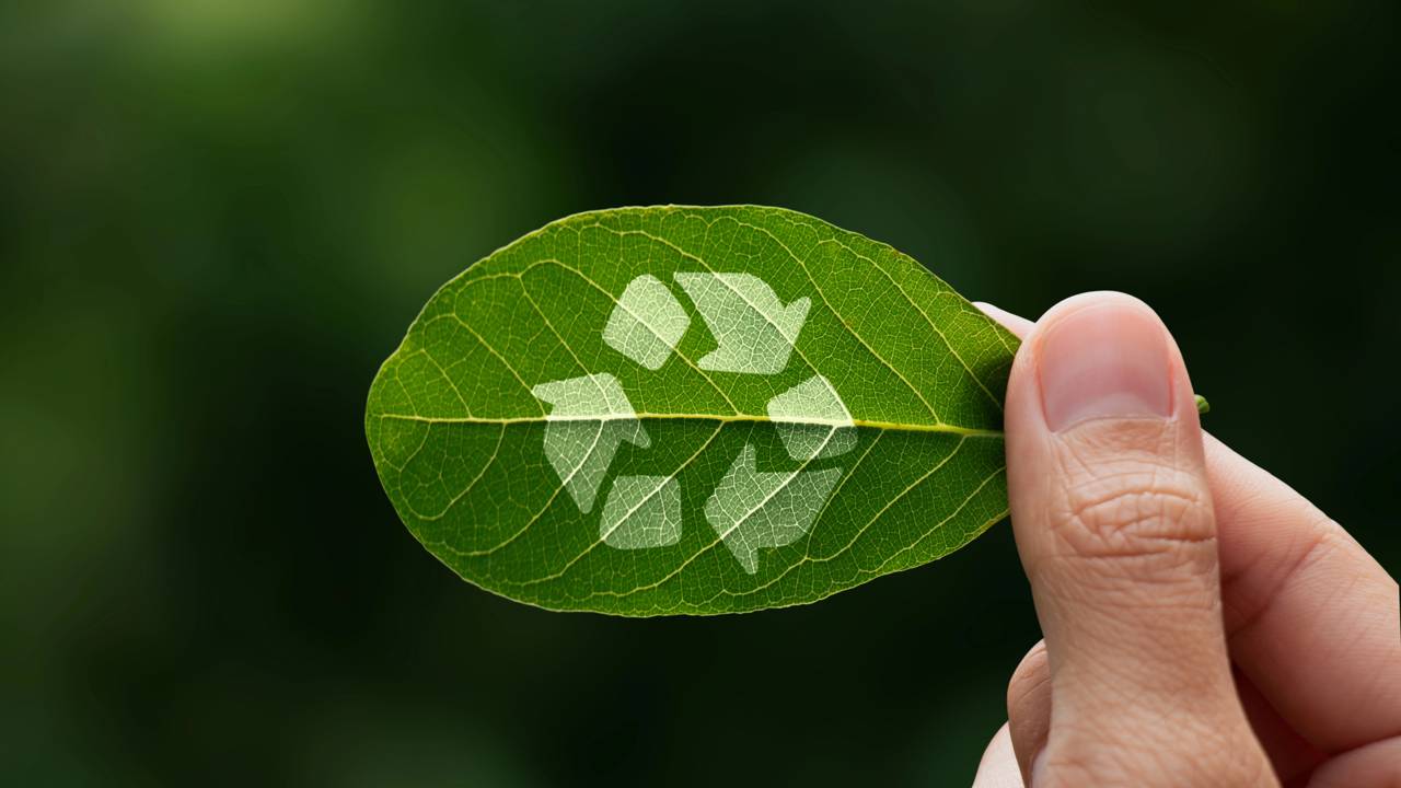 Programa Mais Inovação Brasil apoia economia de baixo carbono