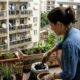 Mulher agacha em varanda, replantando plantas em vasos e floreiras; prédio ao fundo.