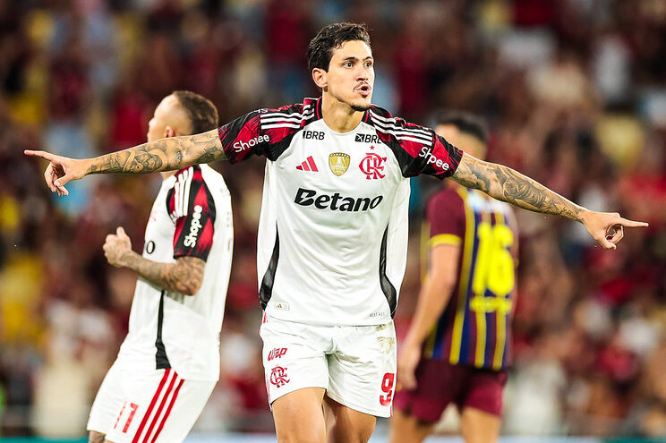 Foto: Gilvan de Souza / Flamengo.