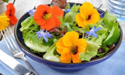 Salada verde com capuchinhas laranja e flores de borragem azuis em tigela, talheres ao lado.