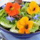 Salada verde com capuchinhas laranja e flores de borragem azuis em tigela, talheres ao lado.
