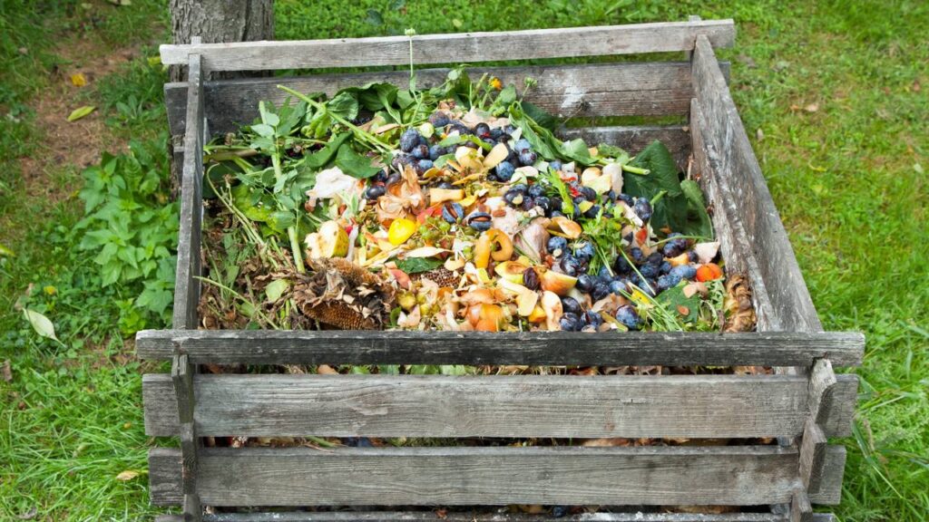 Adubo caseiro poderoso pode ser feito em poucos dias usando ingredientes que você já tem em casa