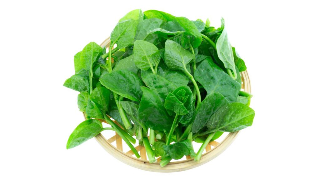 A trepadeira comestível que cresce rápido no quintal e pode produzir muitas folhas nutritivas