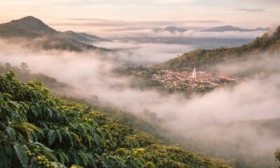 A cidade mais alta do nordeste surpreende pelo clima gelado e pelo café que muita gente considera um dos melhores