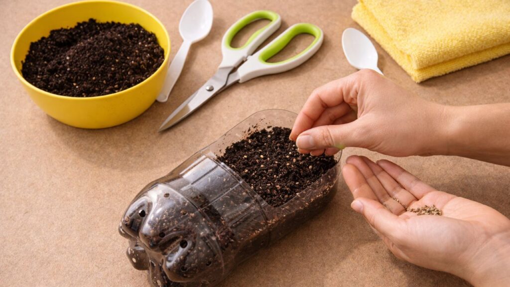 Método simples facilita o cultivo mesmo para quem nunca plantou