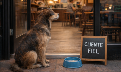 O cliente mais leal dessa cafeteria aparece todos os dias, e ele é um cachorro de rua