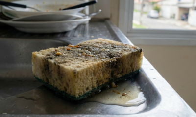 Pare de usar esponja de louça todos os dias e conheça essa alternativa mais higiênica