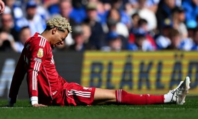 Foto: Divulgação / Premier League.