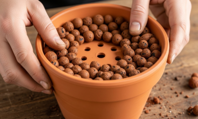 Nunca use estes materiais na drenagem de plantas e evite danos silenciosos nos vasos de casa