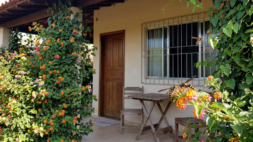 Essas plantas podem atrair marimbondos para perto de casa e merecem cuidado
