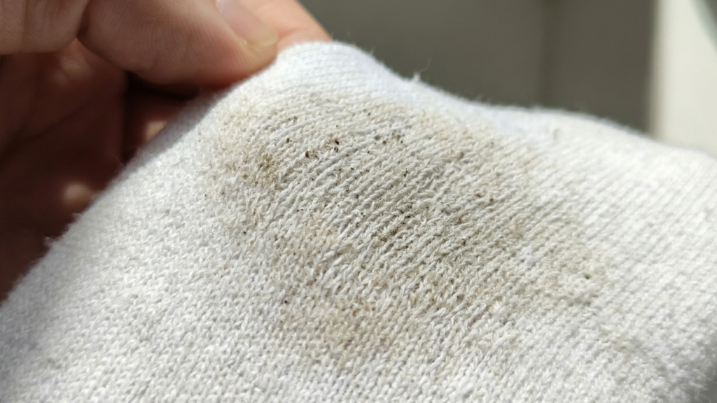 Adeus meias encardidas: este método simples devolve o branco sem esforço e sem produto agressivo