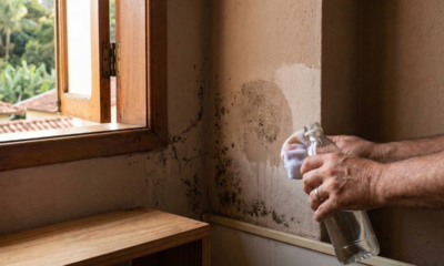 Adeus mofo na parede: O truque natural que pode ajudar a acabar com ele