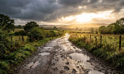 Romanos 8:28: “Dias difíceis também fazem parte das histórias mais bonitas”