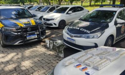 Operação policial apreende medicamentos e Botox em carro na Dutra; casal detido
