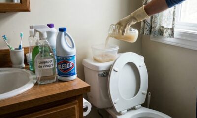 Adeus cheiro ruim no banheiro: esse é o jeito mais seguro e eficiente de manter o ambiente agradável