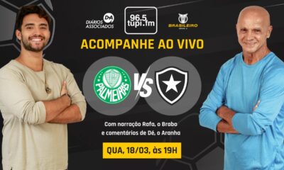 Palmeiras x Botafogo ao vivo