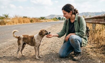 Ela encontrou um cachorro de rua debilitado durante as férias e mudou o destino de um pet