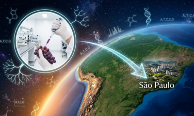 Eleita a 3ª melhor do Brasil para viver, essa cidade de São Paulo nasceu de um acidente genético que mudou tudo