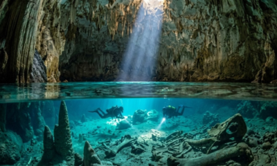 Águas cristalinas com visibilidade de 50 metros e fósseis de 12 mil anos revelam um paraíso escondido no Brasil