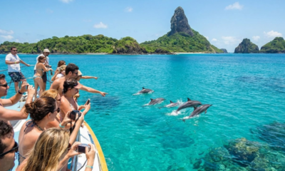 As 21 ilhas vulcânicas brasileiras no arquipélago onde golfinhos aparecem em 95% dos dias do ano