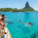 As 21 ilhas vulcânicas brasileiras no arquipélago onde golfinhos aparecem em 95% dos dias do ano