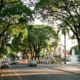 A incrível “Cidade das Árvores” líder em preservação e sustentabilidade do meio ambiente em São Paulo