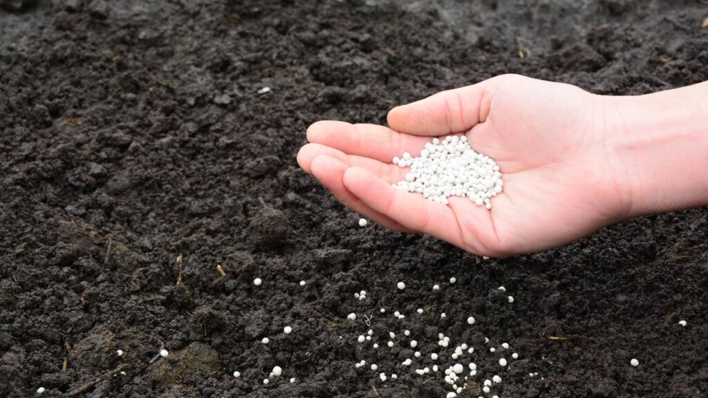 Esse ingrediente para planta florir mais rápido pode fazer diferença e muita gente já está usando