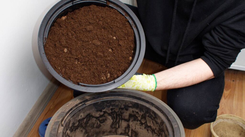 Quem cultiva plantas em vaso pode se surpreender com esse truque simples