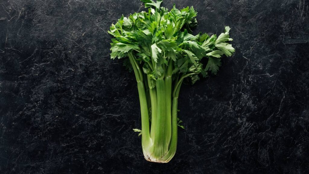 Os benefícios do salsão para saúde que ajudam na desinflamação e no equilíbrio do corpo