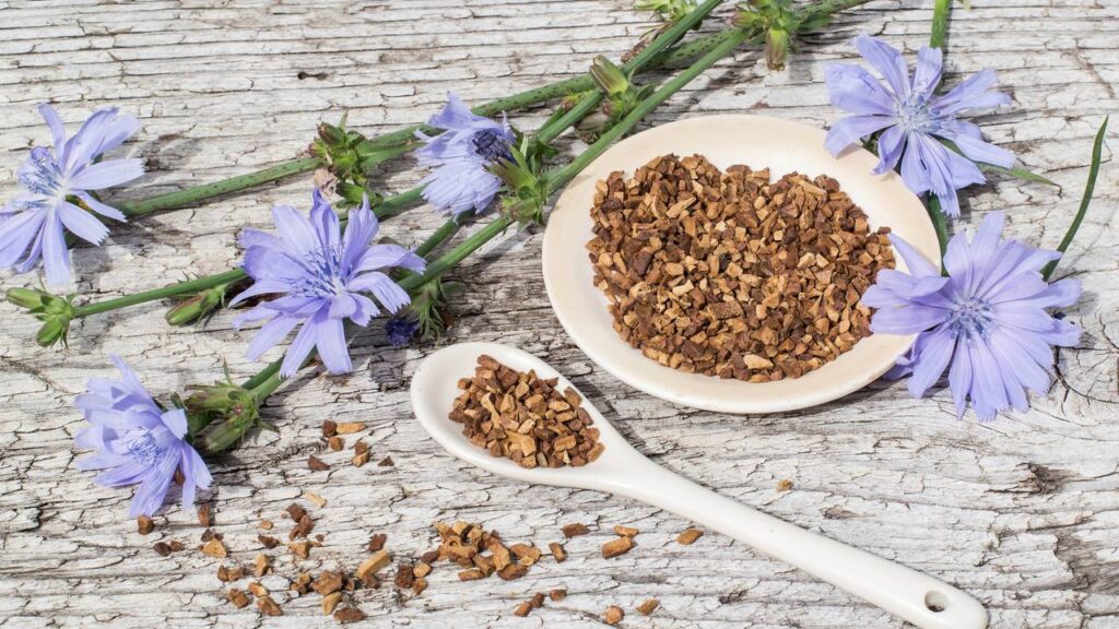 Almeirão faz bem? Conheça 13 benefícios dessa verdura para a saúde