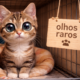 Gato com olhos ‘alien’ surpreende equipe de abrigo