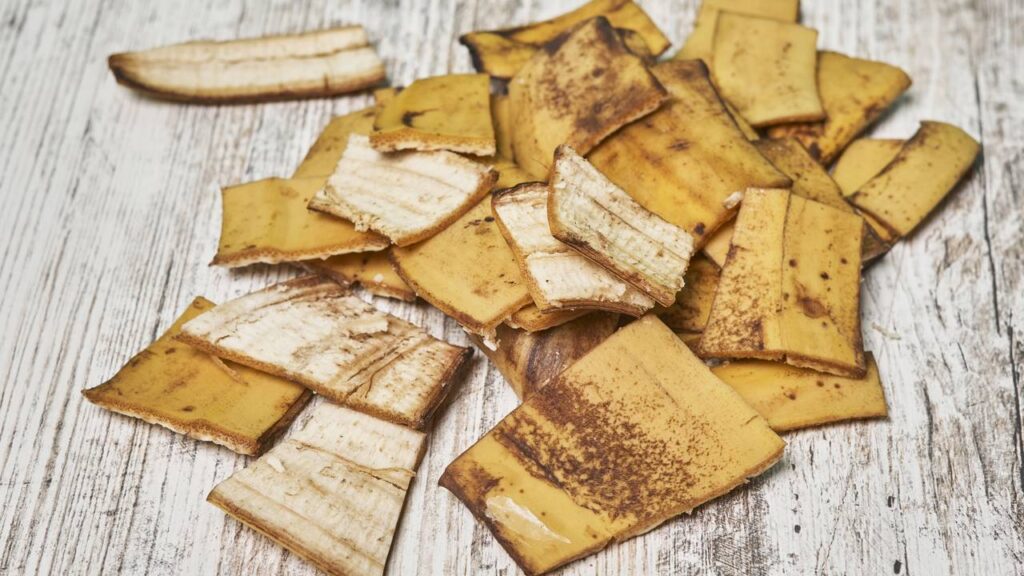 Misturar isso na terra pode ajudar sua planta a produzir mais frutos no quintal