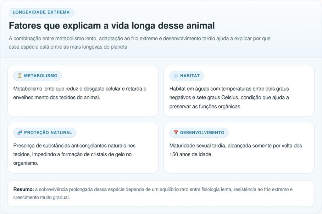 Cientistas encontram tubarão com idade que surpreende a pesquisa