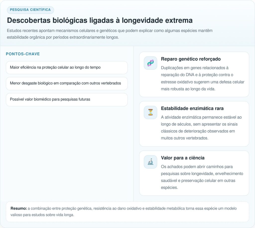 Esse tubarão pode ter vivido quase quatro séculos nos oceanos