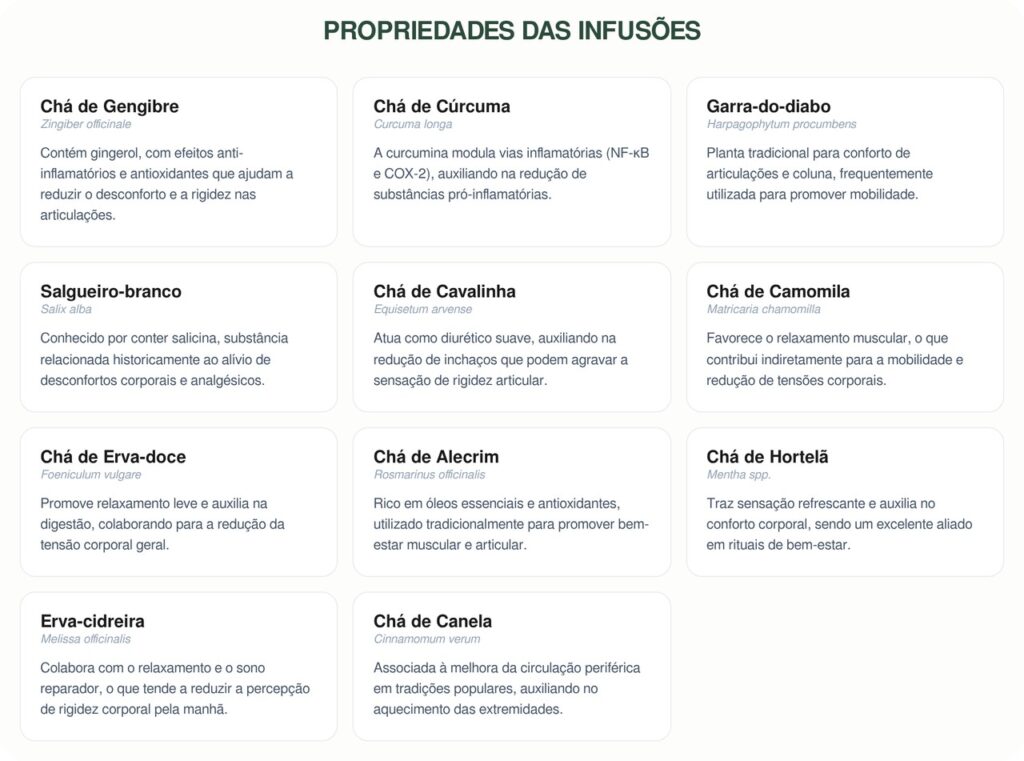 11 chás caseiros que ajudam a reduzir rigidez articular e melhorar a mobilidade após os 65