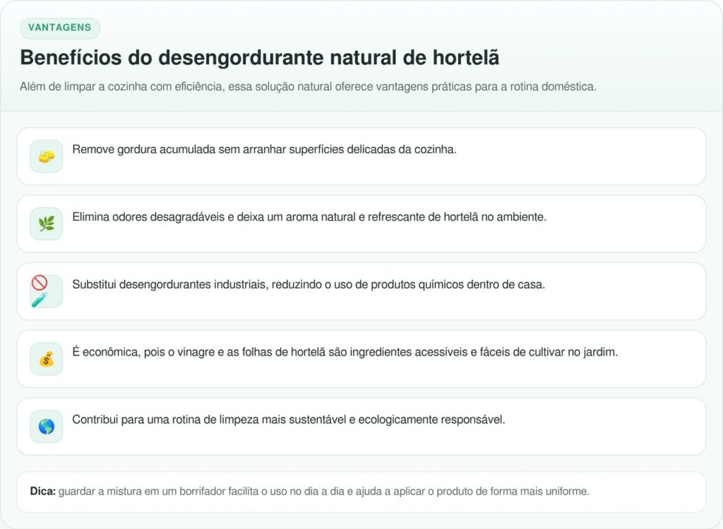 Como limpar pia engordurada usando apenas vinagre e folhas de hortelã que você já tem em casa