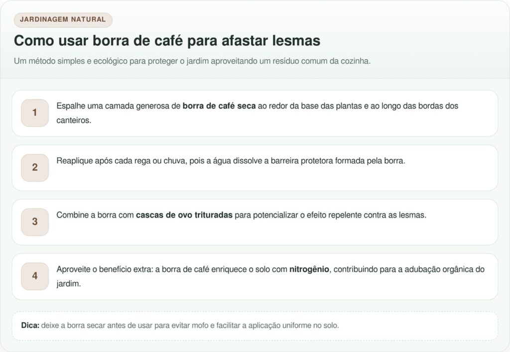 3 dicas caseiras que ajudam a afastar lesmas do jardim