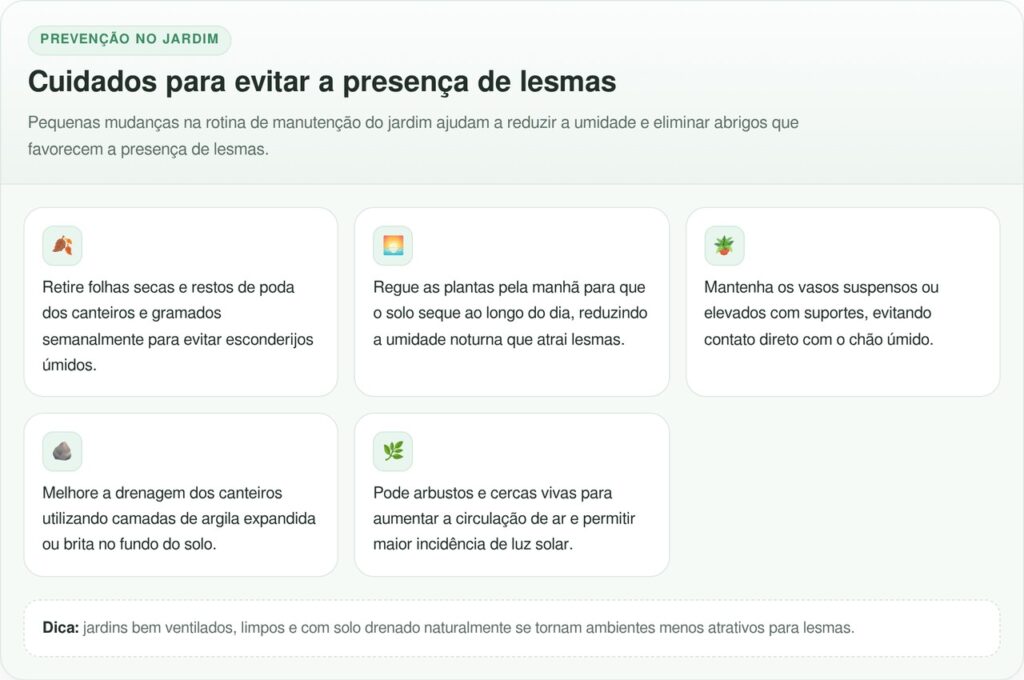 Lesmas no jardim nunca mais