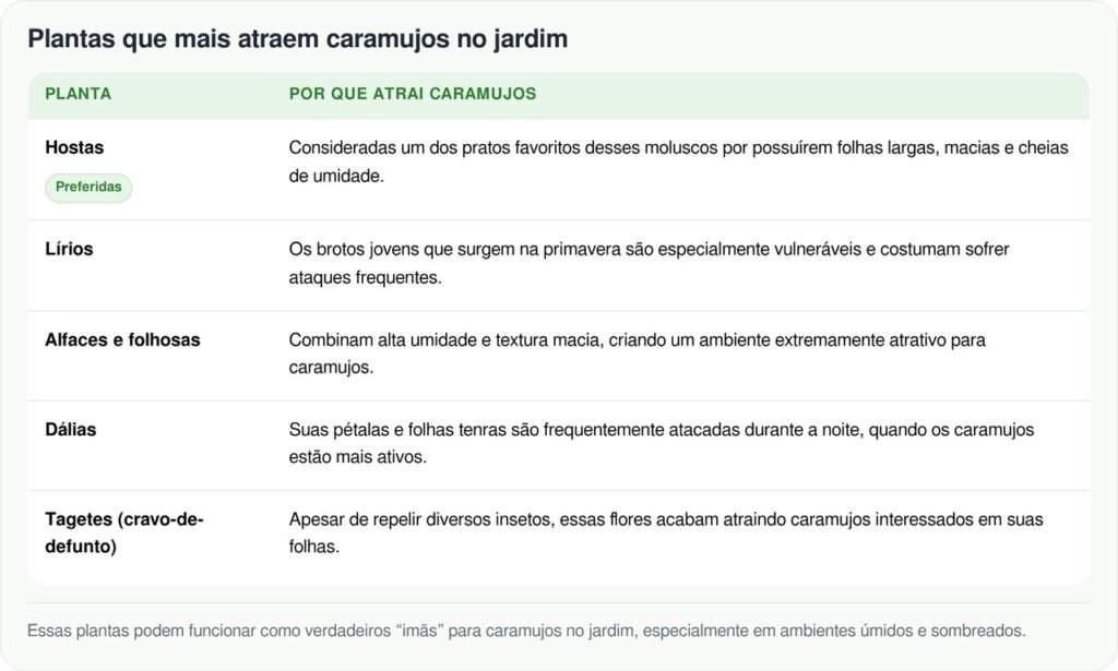 Algumas plantas do jardim viram banquete para lesmas e caramujos à noite