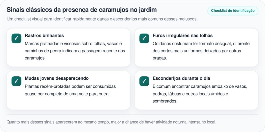 Algumas plantas do jardim viram banquete para lesmas e caramujos à noite