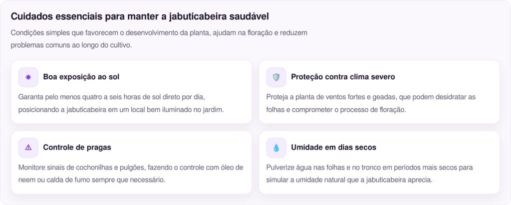 Segredo para colher mais jabuticabas está na poda e no manejo do solo