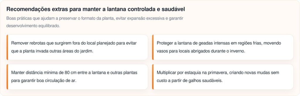 Lantana mantém o jardim colorido o ano inteiro com flores vibrantes e cheias de vida