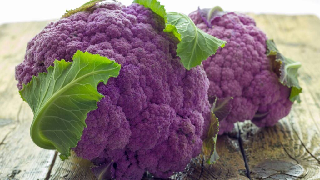 Benefícios da couve-flor roxa e por que esse alimento chama tanta atenção