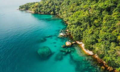Vista aérea de enseada tropical com mar turquesa, floresta verde densa e pedras na costa.