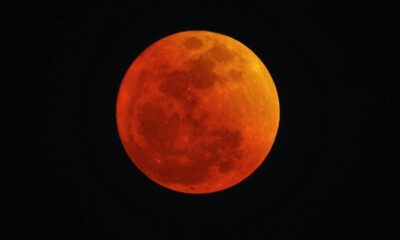 Uma lua cheia em eclipse total, exibindo uma coloração avermelhada contra um céu escuro.