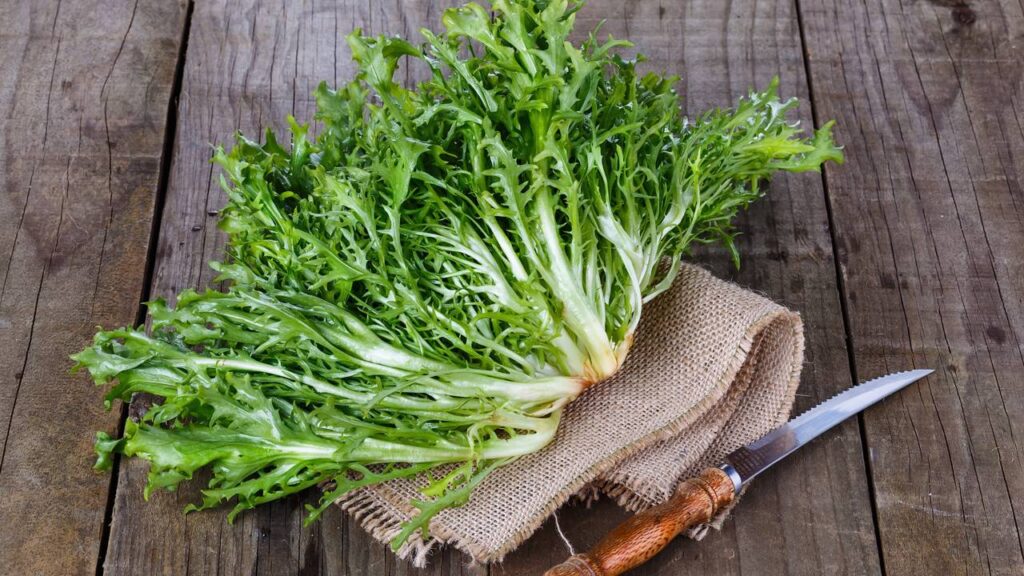 Por que comer escarola com frequência pode melhorar sua saúde no dia a dia