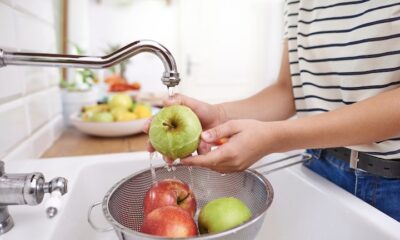 Pesquisa revela erros cometidos por brasileiros na hora de higienizar e manusear alimentos