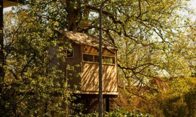 Livro lista algumas das casas na árvore mais impressionantes do mundo; confira!